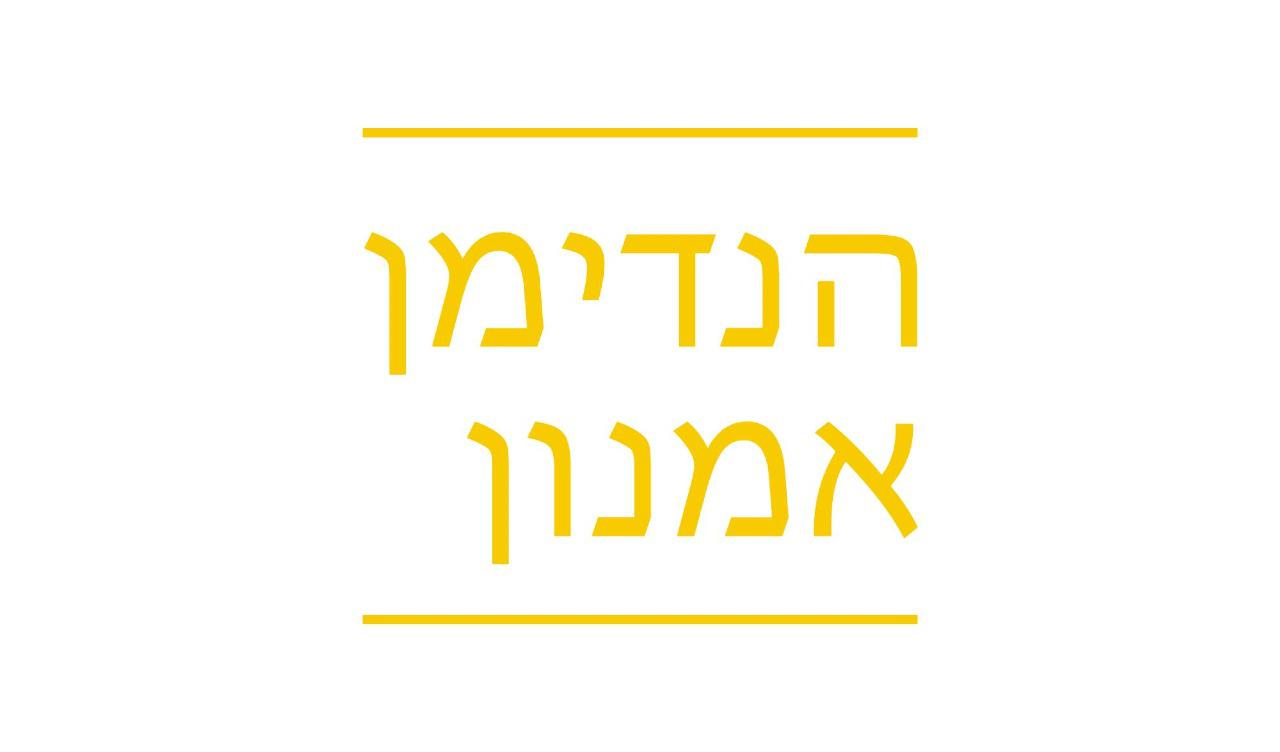 הנדימן אמנון