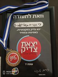 אפרים מנעולים