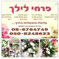 פרחי_לילך