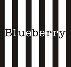 בלוברי Blueberry דיזנגוף 183, תל אביב יפו