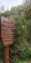 עין_ערן