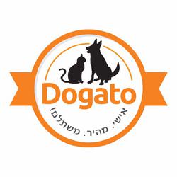 דוגאטו שלום שבזי 42, אליכין