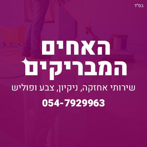 האחים_המבריקים