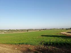 ג'חנון_העמק