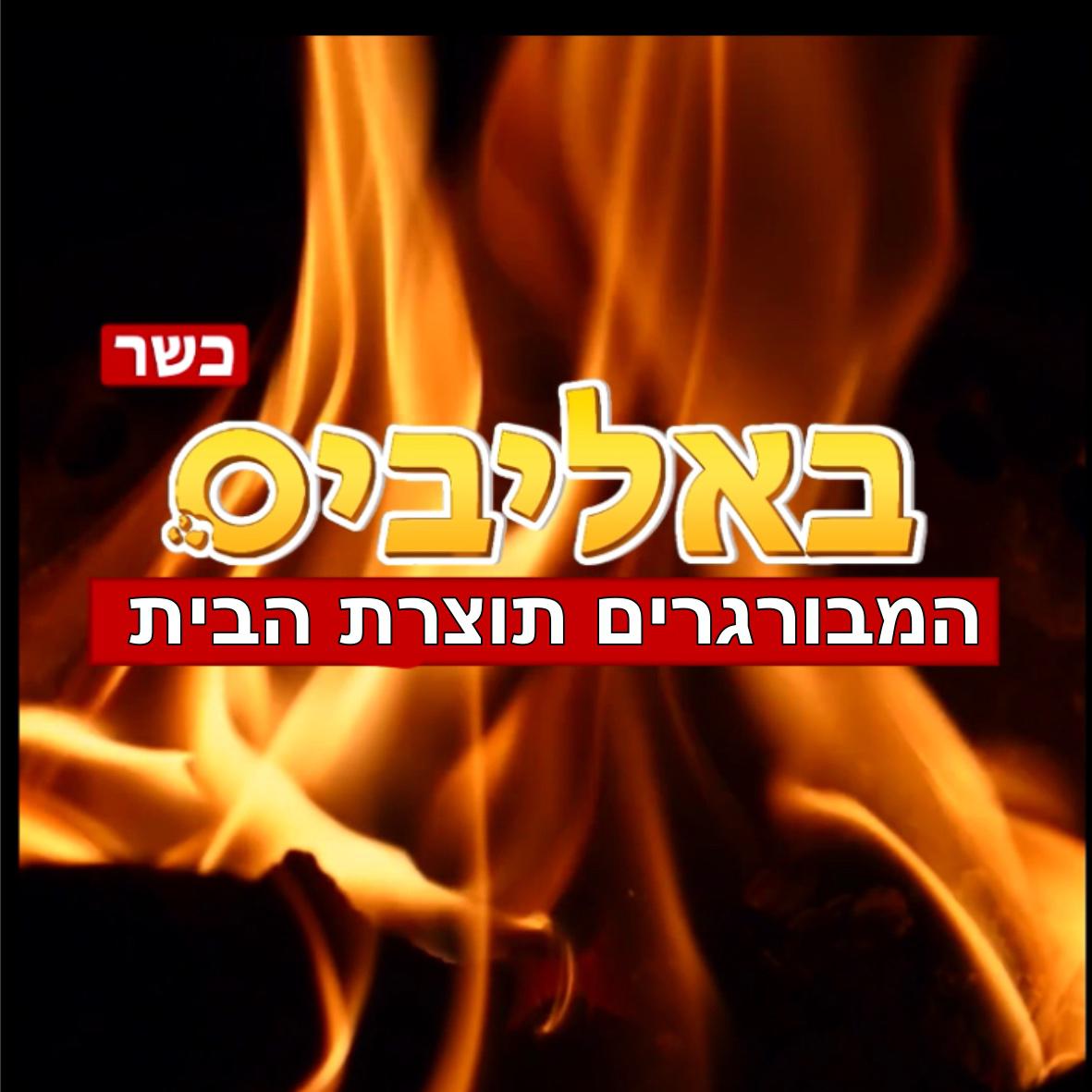 באליביס