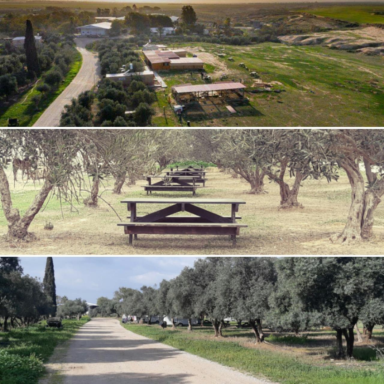 חאן נעמא