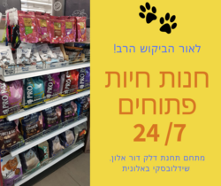 גולדפיש24.7שידלובסקי