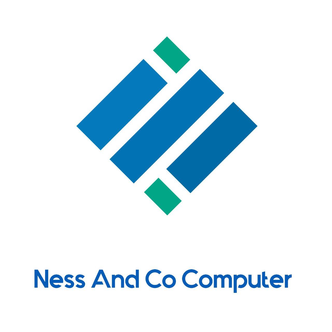 Ness And Co Computer