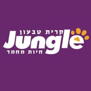 גונגל	יערה1