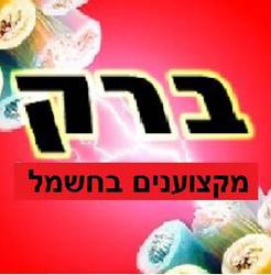 ברקמקצועניםבחשמלהחשמונאים10