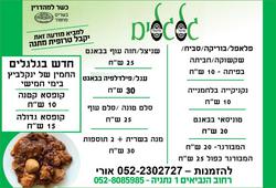 פלאפל גלגלים