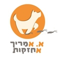 אלון_אמריך