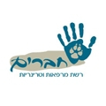 חברים