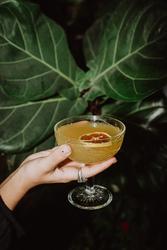 ארציARCHIEחוףדלילה