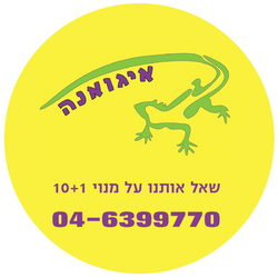 איגואנההשמורה1
