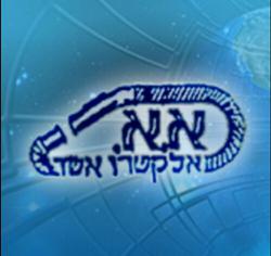 אלקטרו אשד