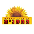 גרעיניעפולההחמניה	חניתה40
