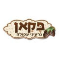 פקאן_גרעיני_עפולה