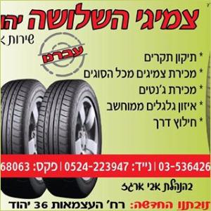 צמיגי השלושה יהוד