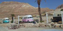 Ein Gedi Camp Lodge שמורת טבע עין גדי, עין גדי