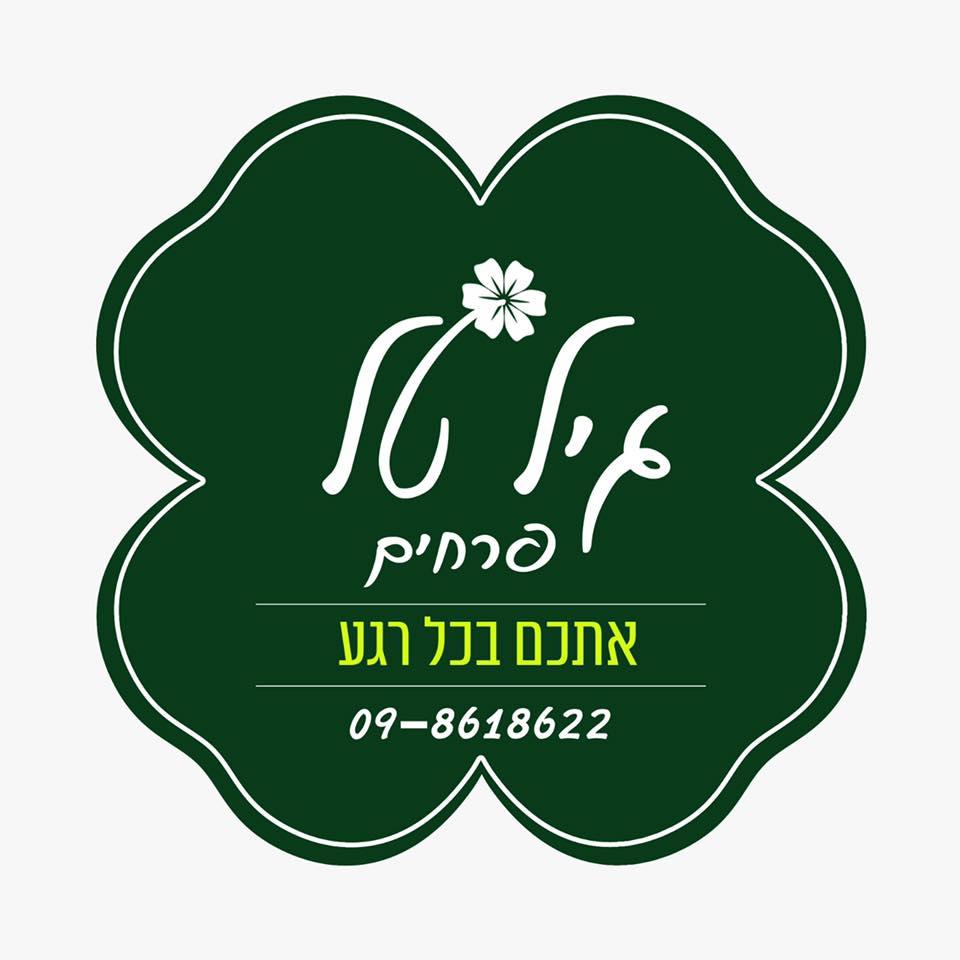 גיל טל פרחים כפר ידידיה