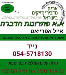 איילתפוז