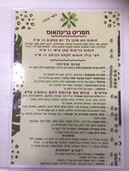 גרינהאוס